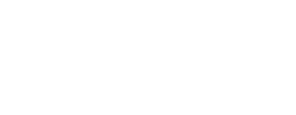 Logo Mopur® Original